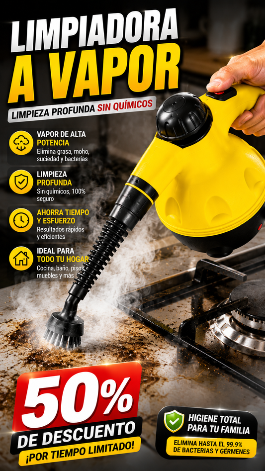LIMPIADORA A VAPOR
